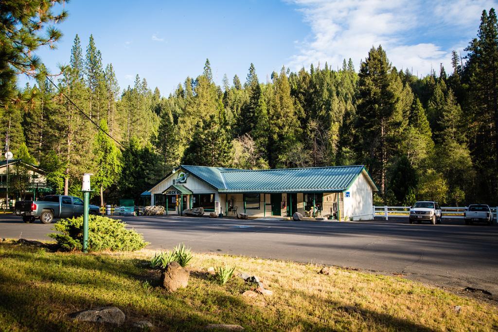 Yosemite Lakes Cabin 40 Harden Flat Dış mekan fotoğraf